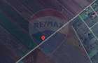 Teren de 10875 mp, în Hălchiu - 7