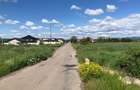 Teren extravilan de 100000 mp, în Lipănești - 4