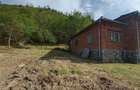 Teren, padure si casa in Dumbrava de Jos, jud. Hunedoara - 6
