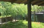De vanzare casa oferta de la proprietar - 6