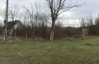 teren intravilan 3368 mp in Hodis, jud Arad - 1