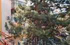 Apartament cu 2 dormitoare, Zorilor, zona Spitalul de Recuperare - 8