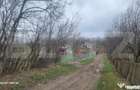 TEREN INTRAVILAN VEDERE PANORAMICA 3781 MP La 2 km de Manas - Schiulesti (Prahova)