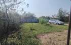 Casa de vacanta renovata + 700 mp teren-Sat Bolovani - 13