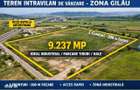 Teren intravilan 9.237 mp de vanzare Gilau | Ideal industrial / lo - 1