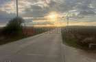 Teren de vanzare - 22800mp - Parc Industrial km 23 - 8