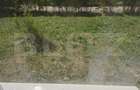Apartament modern cu 3 camere, 69 mp, parter, balcon, Apahida - 8