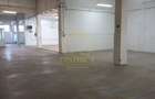 Spațiu comercial, de 640 mp, în Lipovei - 4