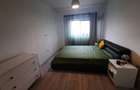 Apartament cu 2 camere semidecomandat în Dumbrăvița - 9