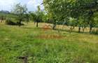 Teren intravilan in Campina, 1490mp--26.820e - 3