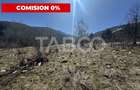 Teren extravilan 4600 mp cu acces la rau Satul de Vacanta Dejani - 1