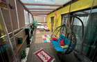 Apartament cu 3 camere semidecomandat în Nerva Traian - 12