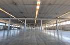 Hala industriala Timisoara, 2500 - 7500 mp , Calea Sagului - 6