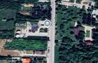 Teren Joita (Giurgiu) - 1