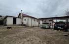 Casă cu Teren 460 Mp în Mineri - 17