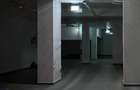 Spațiu comercial, de 250 mp, în P-ța Victoriei - 3