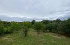Casă individuală cu 2 camere cu Teren 2889 Mp în Hidișelu de Sus - 8