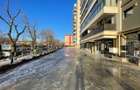 Spatiu comercial - Soseaua DudestiPantelimon nr. 42, Titan - 3