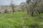 Vand teren extravilan, Galmeia, Prahova - 1