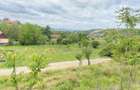 Teren intravilan 867 mp Paleu, zona str. Padurii zona Oncea - 3