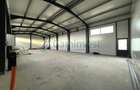 Hala industriala noua de inchiriat, Les, Bihor - 2