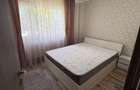 De inchiriat apartament cu 2 camera, etaj 1, Banat - 5