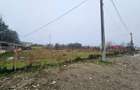 Inchiriez teren intravilan Sacuieni, DN 72 - 5