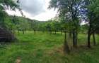 Casa de vanzare + teren generos 4000 mp in Pianul de Sus, Alba ideala pentru locuit sau gospodarie - 7