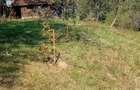 Teren intravilan de vanzare - 4