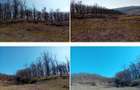 Teren Loc. Lapos, jud. Prahova ; ID: R2967508 - 2