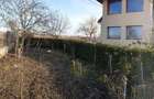 Casa Vila Birouri Productie Hala Casa300m2 teren 1430m2 Stupini - 4