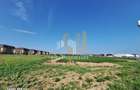 Teren agricol extravilan de 17400 mp, în Sânpetru - 3