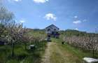 vila superba, de vanzare, intr-o zona pitoreasca - 1