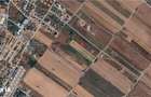 Teren Extravilan In Rate Primaverii Com. Berceni | 5491mp | #EG42 - 3