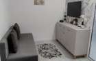 Apartament 2 camere de vanzare, vest, 3 4. Str Arhip Nicolae, renovat, 49.000 euro - 9