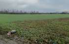 Teren agricol de vanzare, 2500 mp, acces u?or - 1