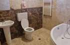 Apartament cu 3 camere decomandat în Andronache - 5