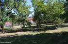Curtea de Arges - Ultracentral - Casa autentica 180 mp, Teren 1336 mp - 9