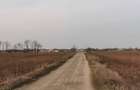 Teren de 8400 mp, în Tămășeu - 1