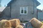 Casă cu 2 camere în Marga - 1