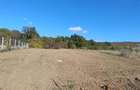Teren Construcții intravilan de 1001 mp, în Betfia - 3