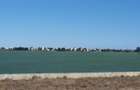 Teren de vanzare Palazu Mare primul rand la lacul Siutghiol - 5