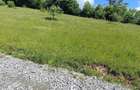 Teren de 7000 mp, în Morărești (Ciuruleasa) - 1