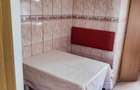Apartament cu 2 camere decomandat în Ultracentral - 6