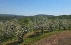 Teren 2721mp Breaza Prahova - Intravilan, Zona Exclusivista, Casa/Vila - 2