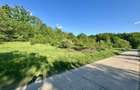 Teren 1000-2000mp intravilan in Gradina Botanica Iasi, 200€/mp, utilitati - 10