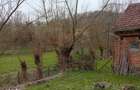 Casa + teren de vanzare, sat Poieni, comuna Densus, Hunedoara - 6