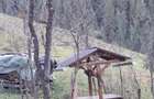 Casa de vanzare in satul Ponorel ,comuna Vidra,judetul Alba - 6