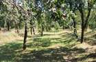 Teren de 2000 mp, în Sibiciu de Sus - 1