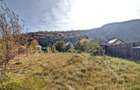 Teren Intravilan Bunloc